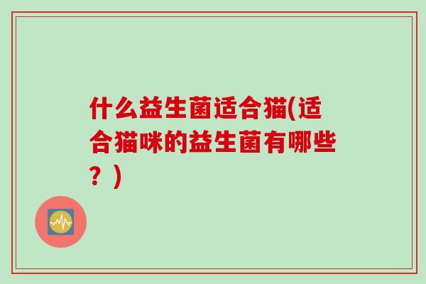 什么益生菌适合猫(适合猫咪的益生菌有哪些？)