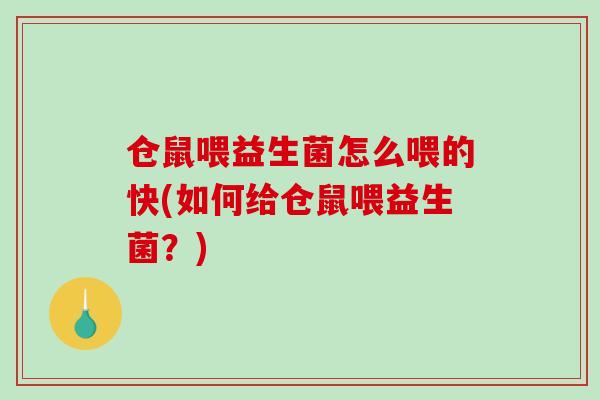 仓鼠喂益生菌怎么喂的快(如何给仓鼠喂益生菌？)