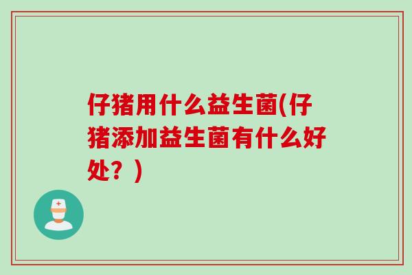 仔猪用什么益生菌(仔猪添加益生菌有什么好处？)