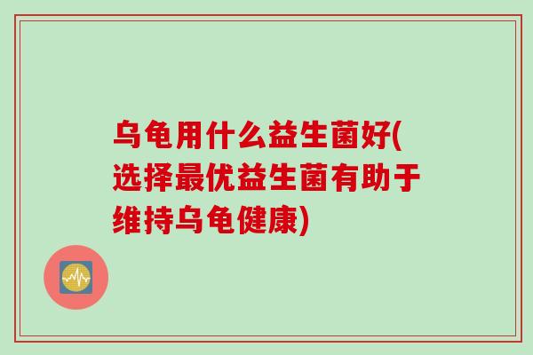 乌龟用什么益生菌好(选择最优益生菌有助于维持乌龟健康)