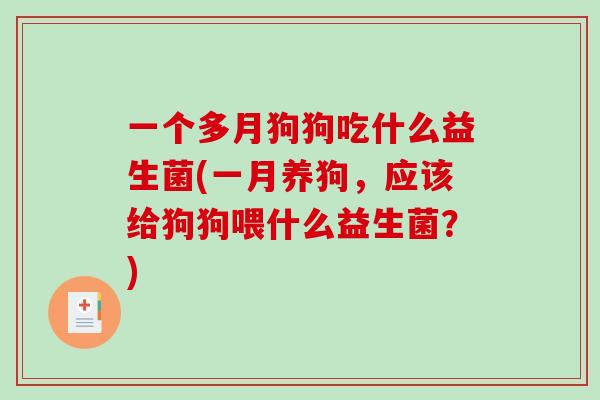 一个多月狗狗吃什么益生菌(一月养狗，应该给狗狗喂什么益生菌？)