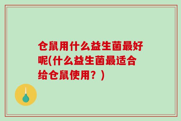 仓鼠用什么益生菌最好呢(什么益生菌最适合给仓鼠使用？)