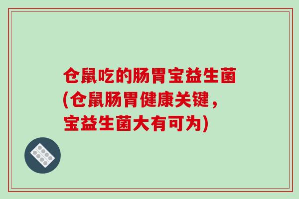 仓鼠吃的肠胃宝益生菌(仓鼠肠胃健康关键，宝益生菌大有可为)