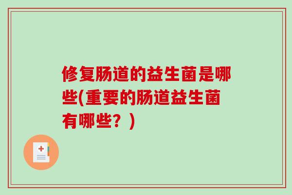 修复肠道的益生菌是哪些(重要的肠道益生菌有哪些？)