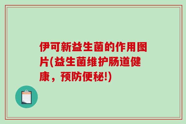 伊可新益生菌的作用图片(益生菌维护肠道健康，预防便秘!)