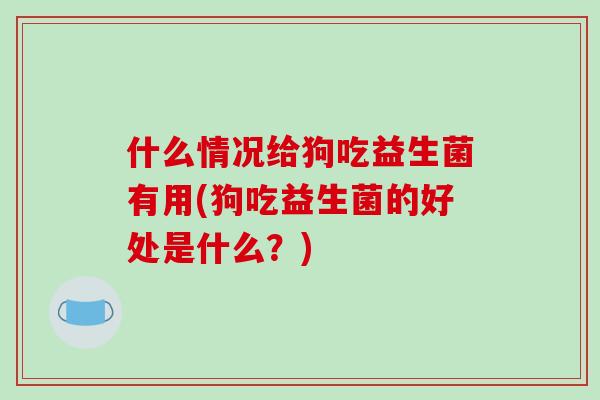 什么情况给狗吃益生菌有用(狗吃益生菌的好处是什么？)