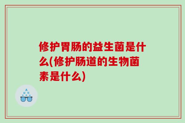 修护胃肠的益生菌是什么(修护肠道的生物菌素是什么)