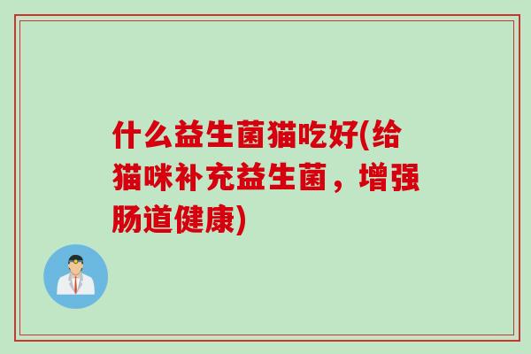 什么益生菌猫吃好(给猫咪补充益生菌，增强肠道健康)