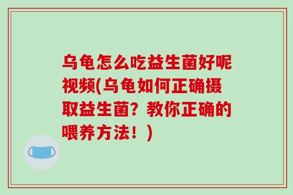 乌龟怎么吃益生菌好呢视频(乌龟如何正确摄取益生菌？教你正确的喂养方法！)
