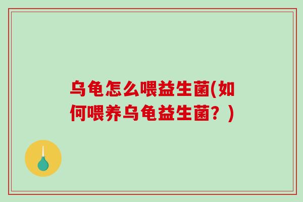 乌龟怎么喂益生菌(如何喂养乌龟益生菌？)