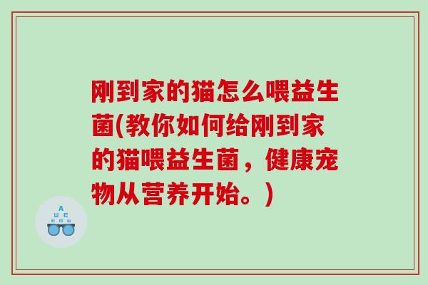 刚到家的猫怎么喂益生菌(教你如何给刚到家的猫喂益生菌，健康宠物从营养开始。)