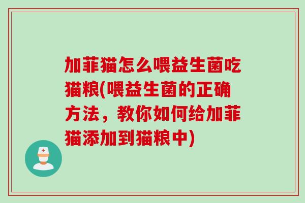 加菲猫怎么喂益生菌吃猫粮(喂益生菌的正确方法，教你如何给加菲猫添加到猫粮中)