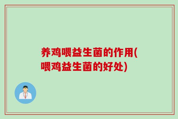 养鸡喂益生菌的作用(喂鸡益生菌的好处)