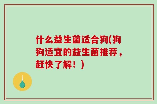 什么益生菌适合狗(狗狗适宜的益生菌推荐，赶快了解！)