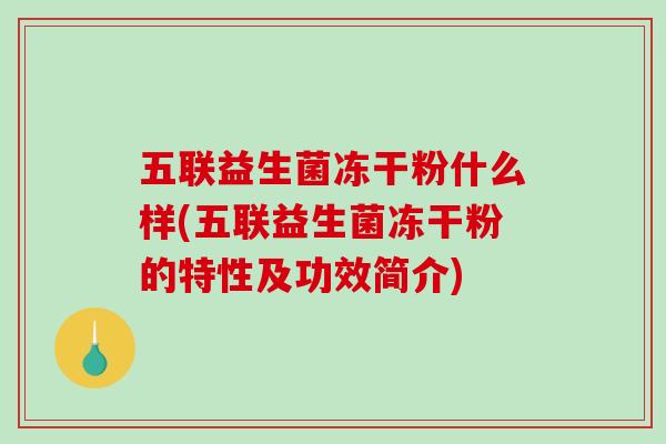五联益生菌冻干粉什么样(五联益生菌冻干粉的特性及功效简介)