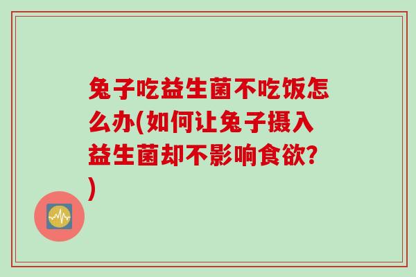 兔子吃益生菌不吃饭怎么办(如何让兔子摄入益生菌却不影响食欲？)
