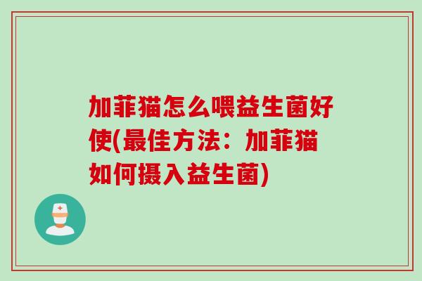加菲猫怎么喂益生菌好使(最佳方法：加菲猫如何摄入益生菌)