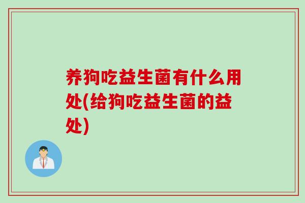 养狗吃益生菌有什么用处(给狗吃益生菌的益处)