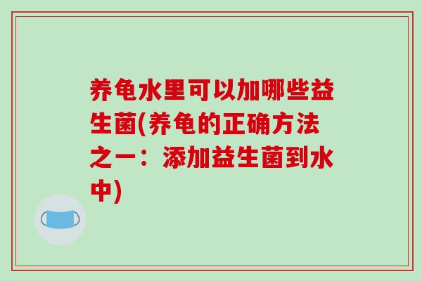 养龟水里可以加哪些益生菌(养龟的正确方法之一：添加益生菌到水中)