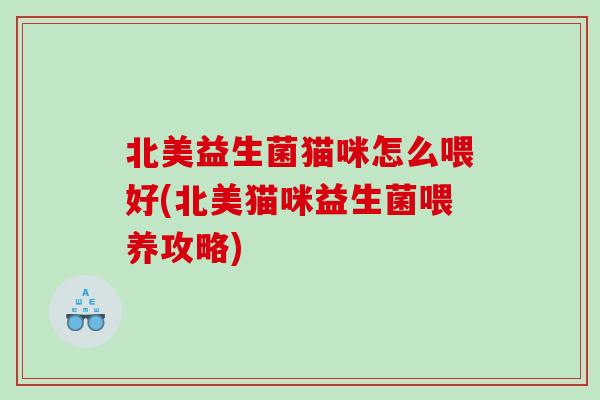 北美益生菌猫咪怎么喂好(北美猫咪益生菌喂养攻略)