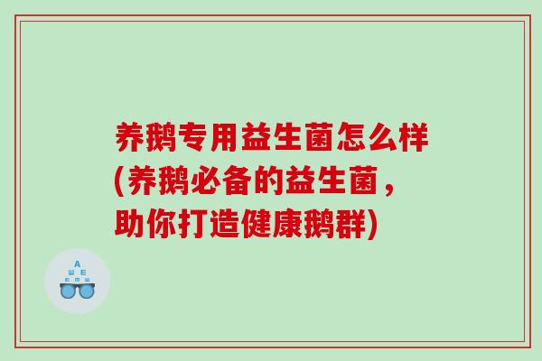 养鹅专用益生菌怎么样(养鹅必备的益生菌，助你打造健康鹅群)