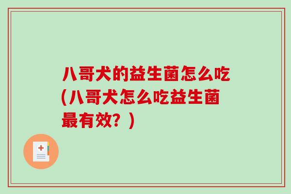八哥犬的益生菌怎么吃(八哥犬怎么吃益生菌最有效？)