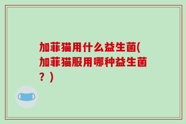 加菲猫用什么益生菌(加菲猫服用哪种益生菌？)