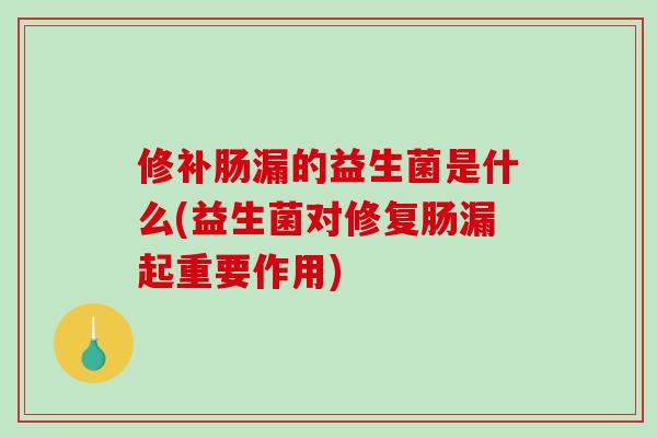 修补肠漏的益生菌是什么(益生菌对修复肠漏起重要作用)