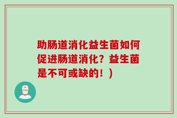 助肠道消化益生菌如何促进肠道消化？益生菌是不可或缺的！)