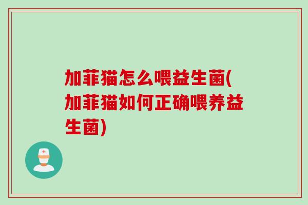 加菲猫怎么喂益生菌(加菲猫如何正确喂养益生菌)
