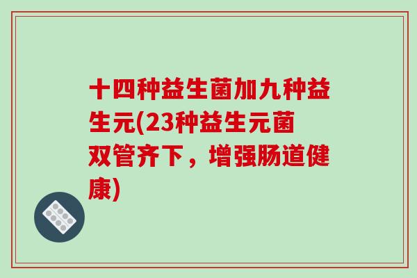 十四种益生菌加九种益生元(23种益生元菌双管齐下，增强肠道健康)