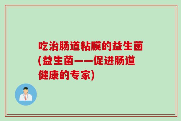 吃治肠道粘膜的益生菌(益生菌——促进肠道健康的专家)