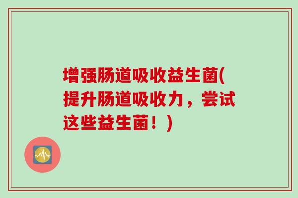 增强肠道吸收益生菌(提升肠道吸收力，尝试这些益生菌！)