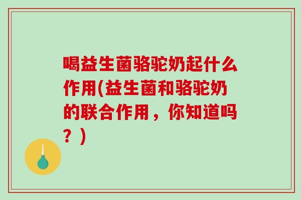 喝益生菌骆驼奶起什么作用(益生菌和骆驼奶的联合作用，你知道吗？)