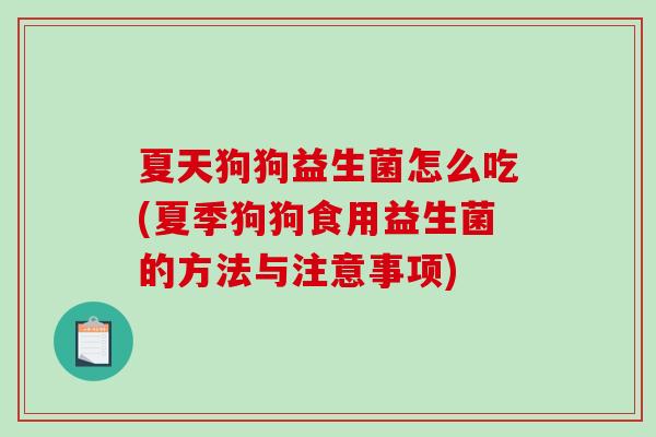 夏天狗狗益生菌怎么吃(夏季狗狗食用益生菌的方法与注意事项)