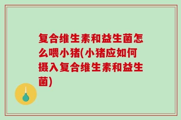 复合维生素和益生菌怎么喂小猪(小猪应如何摄入复合维生素和益生菌) 复合维生素和益生菌怎么喂小猪(小猪应如何摄入复合维生素和益生菌)
