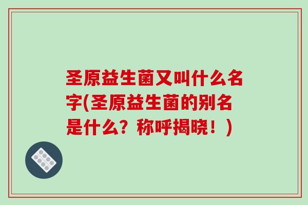 圣原益生菌又叫什么名字(圣原益生菌的别名是什么？称呼揭晓！)