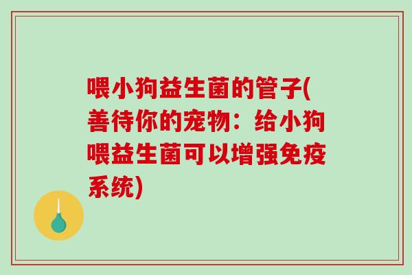 喂小狗益生菌的管子(善待你的宠物：给小狗喂益生菌可以增强免疫系统)