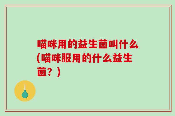 喵咪用的益生菌叫什么(喵咪服用的什么益生菌？)