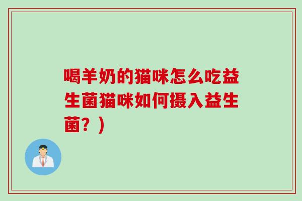 喝羊奶的猫咪怎么吃益生菌猫咪如何摄入益生菌？)