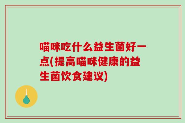 喵咪吃什么益生菌好一点(提高喵咪健康的益生菌饮食建议)