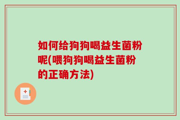 如何给狗狗喝益生菌粉呢(喂狗狗喝益生菌粉的正确方法)