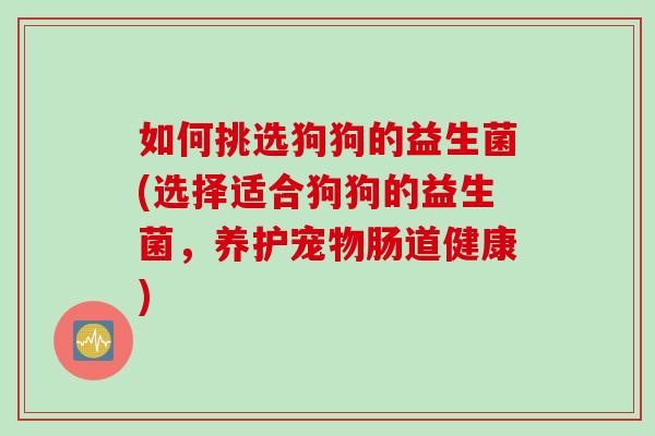 如何挑选狗狗的益生菌(选择适合狗狗的益生菌，养护宠物肠道健康)