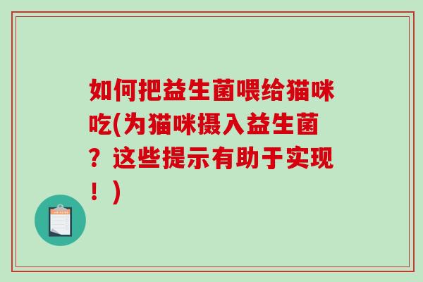 如何把益生菌喂给猫咪吃(为猫咪摄入益生菌？这些提示有助于实现！)