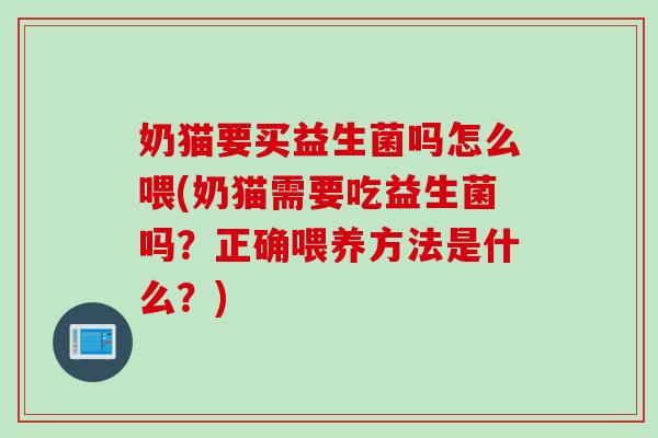 奶猫要买益生菌吗怎么喂(奶猫需要吃益生菌吗？正确喂养方法是什么？)