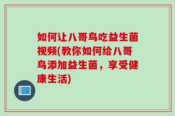 如何让八哥鸟吃益生菌视频(教你如何给八哥鸟添加益生菌，享受健康生活)