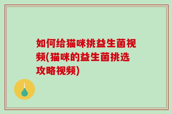 如何给猫咪挑益生菌视频(猫咪的益生菌挑选攻略视频)
