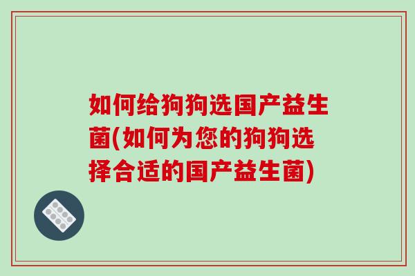 如何给狗狗选国产益生菌(如何为您的狗狗选择合适的国产益生菌)