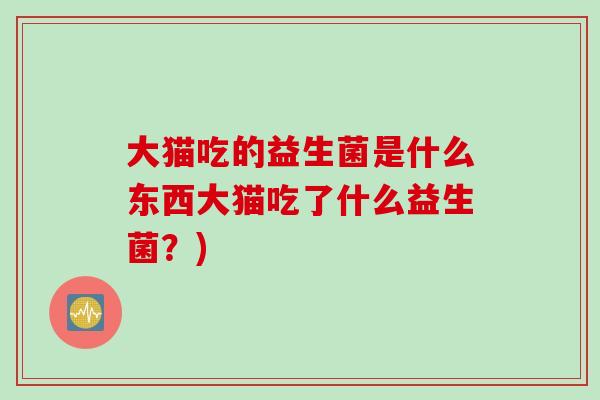 大猫吃的益生菌是什么东西大猫吃了什么益生菌？)