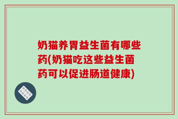 奶猫养胃益生菌有哪些药(奶猫吃这些益生菌药可以促进肠道健康)